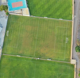 An aerial view of a sports complex featuring multiple green grass fields, including football pitches with marked goalposts. Adjacent to the fields is a blue-roofed building and a smaller area with a tennis or basketball court. Surrounding the complex, there's a road lined with trees and a dirt area with sparse vegetation.